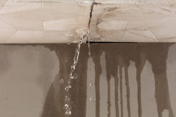 Professional Burst Pipe Cleanup technician working in Newton, WI